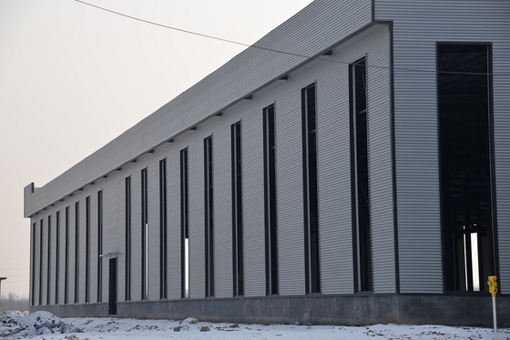 Logistics Park Customized Steel Structure Q235B Prefabricated Metal Warehouse