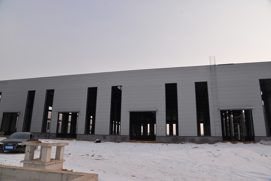 Q355B Large Span Steel Structure Warehouse Building Construction Easy Assemble